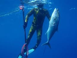 Resultados del Marat&oacute;n Reyno de Navarra